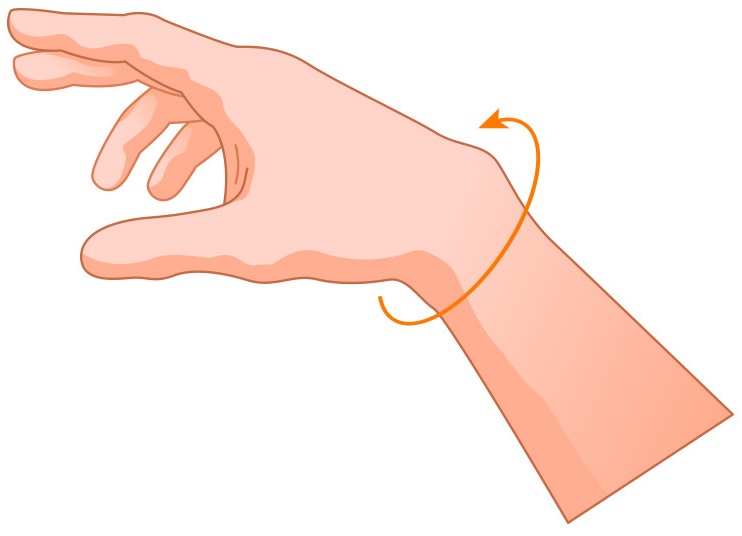 Measure the bony part of the wrist as indicated